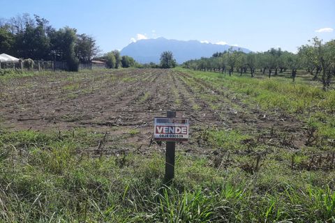 Terra a Eboli, Salerno, Eboli - € 60.000 | Ref: 559 - foto 3