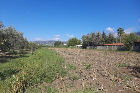 Terra a Eboli, Salerno, Eboli - € 60.000 | Ref: 559 - foto 4