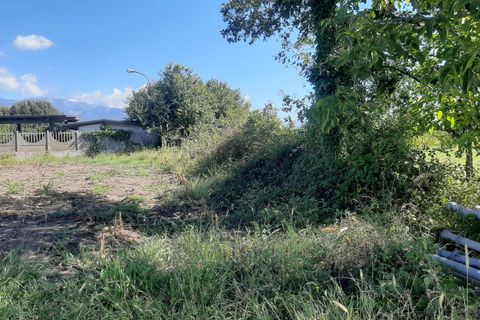 Terra a Eboli, Salerno, Eboli - € 60.000 | Ref: 559 - foto 6