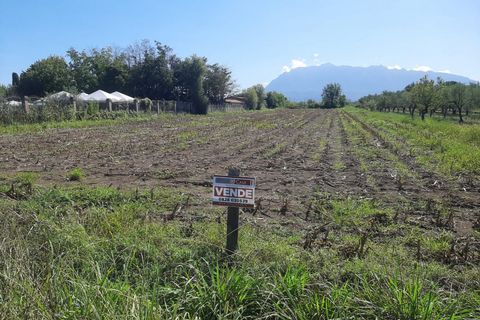 Terra a Eboli, Salerno, Eboli - € 60.000 | Ref: 559 - foto 8