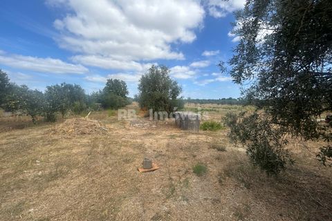 Erhvervsejendom i Tomar, Santarem, Tomar - € 170.000 | Ref: 01665-25 - foto 11