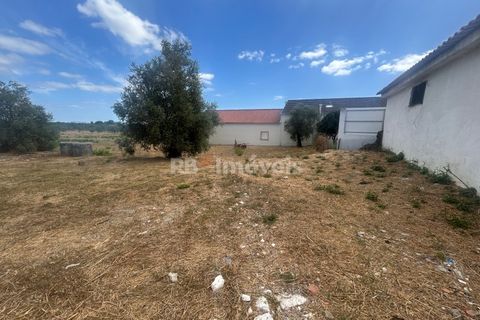 Erhvervsejendom i Tomar, Santarem, Tomar - € 170.000 | Ref: 01665-25 - foto 13