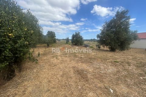 Erhvervsejendom i Tomar, Santarem, Tomar - € 170.000 | Ref: 01665-25 - foto 14
