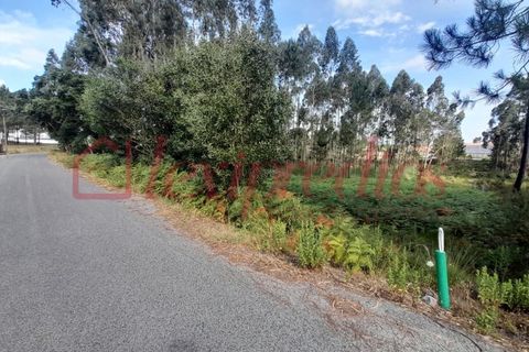 Terra a Fermentelos, Aveiro, Fermentelos - € 30.000 | Ref: 2009 - foto 2