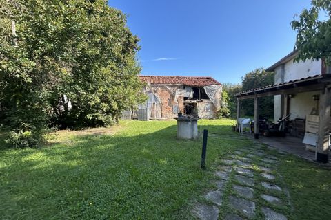 Terra a Campodarsego, Padua, Campodarsego - € 199.000 | Ref: TR554 - foto 4
