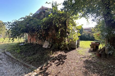 Terra a Campodarsego, Padua, Campodarsego - € 199.000 | Ref: TR554 - foto 5