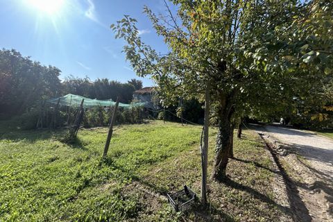 Terra a Campodarsego, Padua, Campodarsego - € 199.000 | Ref: TR554 - foto 6