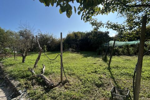 Terra a Campodarsego, Padua, Campodarsego - € 199.000 | Ref: TR554 - foto 8