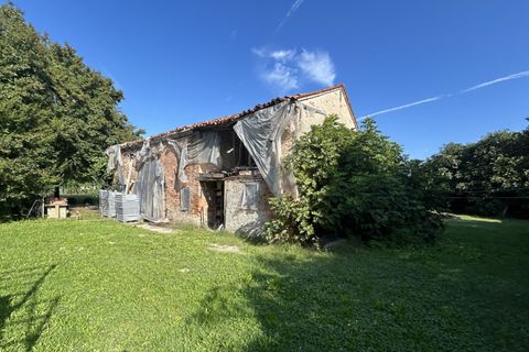 Terra a Campodarsego, Padua, Campodarsego - € 199.000 | Ref: TR554 - foto 12