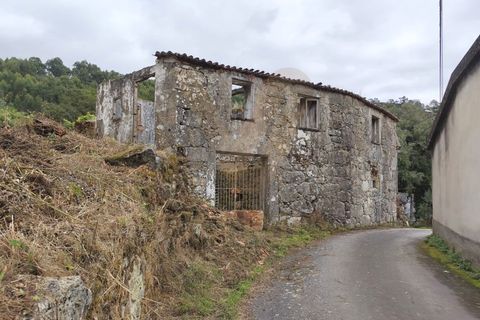 Landejendom i Ponte de Lima, Viana do Castelo, Ponte de Lima - € 59.000 | Ref: V332 - foto 5