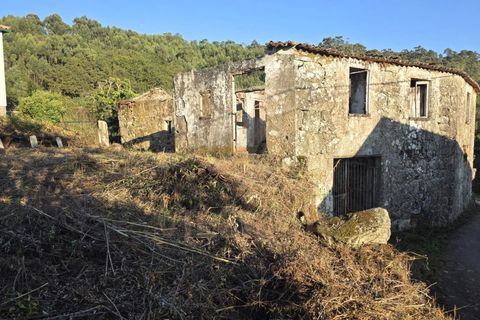 Landejendom i Ponte de Lima, Viana do Castelo, Ponte de Lima - € 59.000 | Ref: V332 - foto 11
