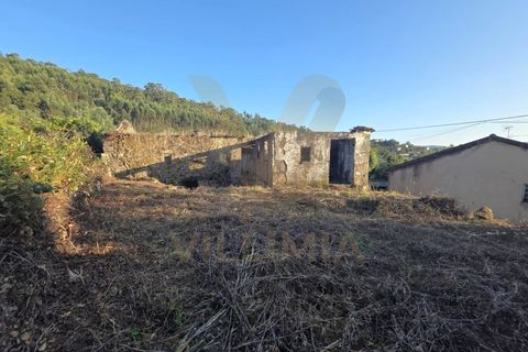 Landejendom i Ponte de Lima, Viana do Castelo, Ponte de Lima - € 59.000 | Ref: V332 - foto 14