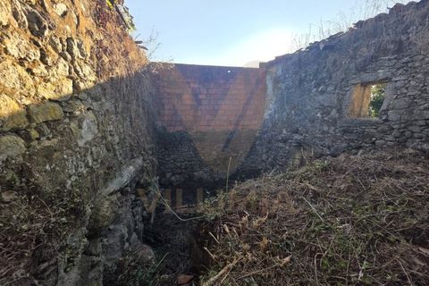 Landejendom i Ponte de Lima, Viana do Castelo, Ponte de Lima - € 59.000 | Ref: V332 - foto 17