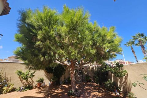 Villa i Torrevieja, Alicante, Torrevieja - € 495.000 | Ref: MLSC7436176 - foto 25
