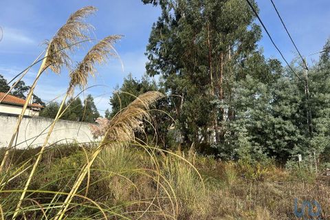 Helårsgrund i Aveiro, Aveiro, Aveiro - € 35.000 | Ref: 147675 - foto 2