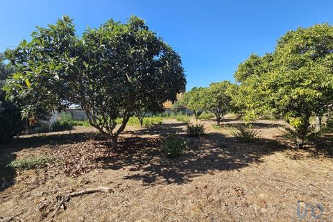 Helårsgrund i Palmela, Setubal, Palmela - € 225.000 | Ref: 126708 - foto 2