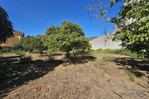 Helårsgrund i Palmela, Setubal, Palmela - € 225.000 | Ref: 126708 - foto 3