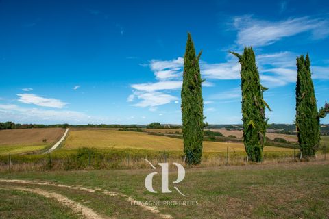 Villa a Vic-Fezensac, Gers, Vic-Fezensac - € 595.000 | Ref: LP93222 - foto 4