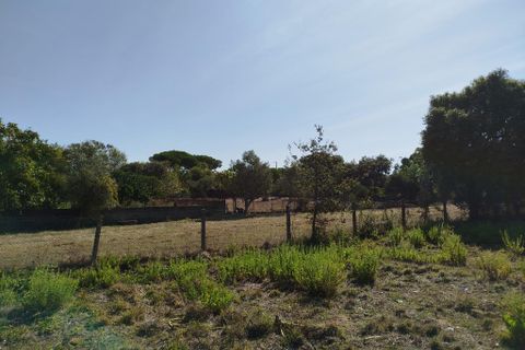 Helårsgrund i Sintra, Lisbon, Sintra - € 200.000 | Ref: ptm4517 - foto 3