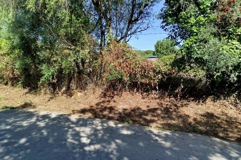Helårsgrund i Sintra, Lisbon, Sintra - € 200.000 | Ref: ptm4517 - foto 5