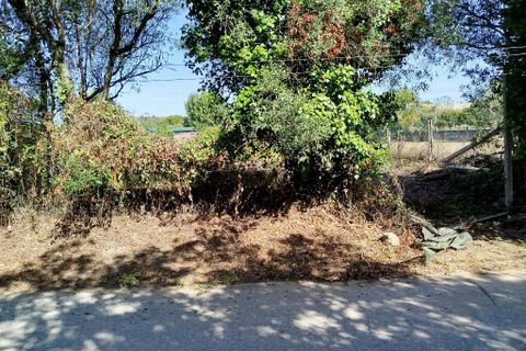 Helårsgrund i Sintra, Lisbon, Sintra - € 200.000 | Ref: ptm4517 - foto 6
