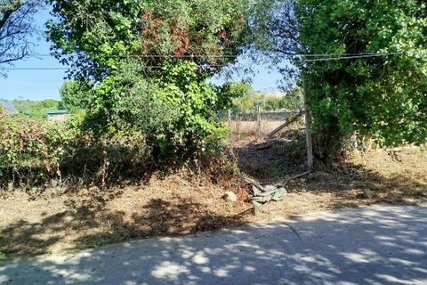 Helårsgrund i Sintra, Lisbon, Sintra - € 200.000 | Ref: ptm4517 - foto 7