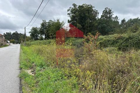 Helårsgrund i Vila Verde, Braga, Vila Verde - € 1.200.000 | Ref: 08695 - foto 7