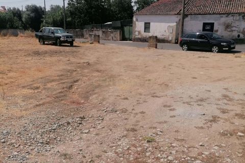 Terra a Alvito, Beja, Alvito - € 100.000 | Ref: C0486-00198 - foto 32