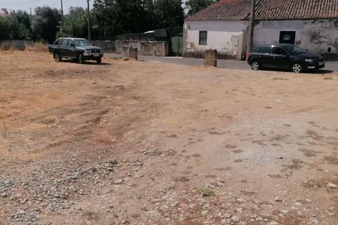 Terra a Alvito, Beja, Alvito - € 100.000 | Ref: C0486-00198 - foto 33