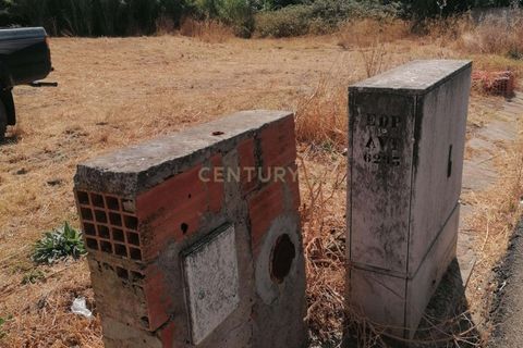Terra a Alvito, Beja, Alvito - € 100.000 | Ref: C0486-00198 - foto 39