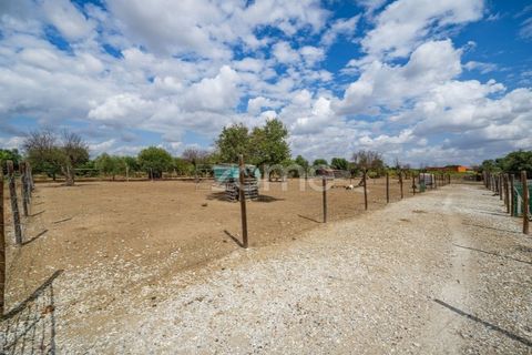 Terra a Redondo, Evora, Redondo - € 80.000 | Ref: ZMPT580857 - foto 3