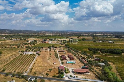 Terra a Redondo, Evora, Redondo - € 80.000 | Ref: ZMPT580857 - foto 5