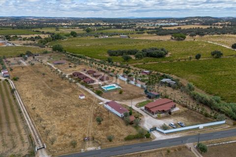 Terra a Redondo, Evora, Redondo - € 80.000 | Ref: ZMPT580857 - foto 4