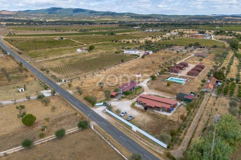 Terra a Redondo, Evora, Redondo - € 80.000 | Ref: ZMPT580857 - foto 2