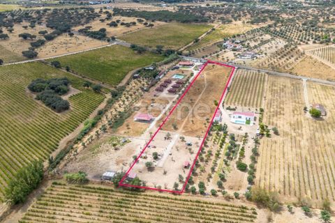 Grond in Redondo, Evora, Redondo - € 75.000 | Ref: ZMPT580857 - foto 1