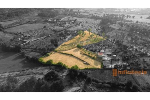 Helårsgrund i Peraboa, Castelo Branco, Peraboa - € 75.000 | Ref: SÒL_20 - foto 2