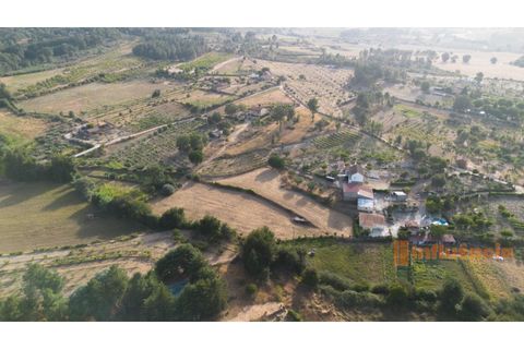 Helårsgrund i Peraboa, Castelo Branco, Peraboa - € 75.000 | Ref: SÒL_20 - foto 3