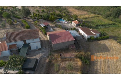 Helårsgrund i Peraboa, Castelo Branco, Peraboa - € 75.000 | Ref: SÒL_20 - foto 4