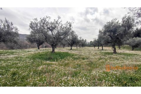 Villa a Macainhas de Baixo, Guarda, Macainhas de Baixo - € 1.300/mes | Ref: HAB_19 - foto 28