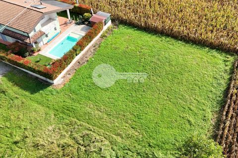Terra a Calvisano, Brescia, Calvisano - € 45.000 | Ref: 6415062020-1250 - foto 3