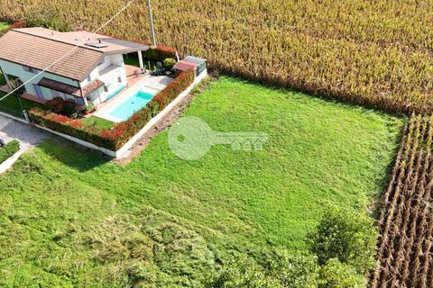 Terra a Calvisano, Brescia, Calvisano - € 45.000 | Ref: 6415062020-1250 - foto 4