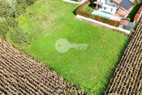 Terra a Calvisano, Brescia, Calvisano - € 45.000 | Ref: 6415062020-1250 - foto 5