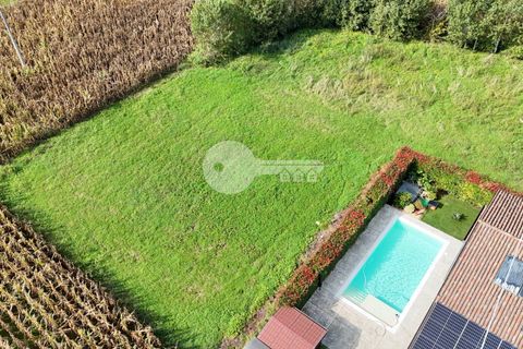 Terra a Calvisano, Brescia, Calvisano - € 45.000 | Ref: 6415062020-1250 - foto 6