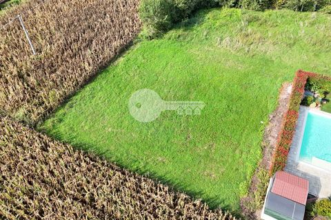 Terra a Calvisano, Brescia, Calvisano - € 45.000 | Ref: 6415062020-1250 - foto 7