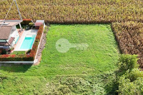 Terra a Calvisano, Brescia, Calvisano - € 45.000 | Ref: 6415062020-1250 - foto 8