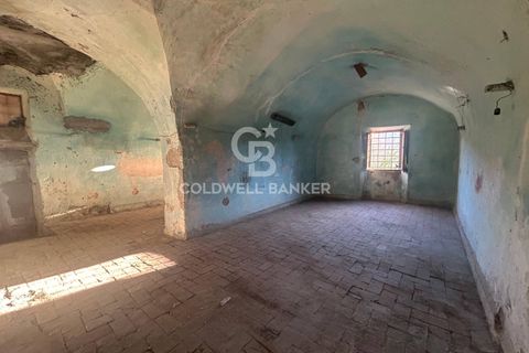 Erhvervsejendom i Latera, Viterbo, Latera - € 26.000 | Ref: CBI105-1176-422 - foto 6