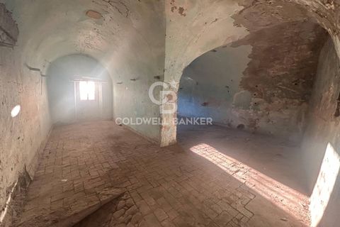 Erhvervsejendom i Latera, Viterbo, Latera - € 26.000 | Ref: CBI105-1176-422 - foto 7