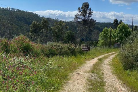 Helårsgrund i Serra, Santarem, Serra - € 8.000 | Ref: C0452-00460 - foto 4