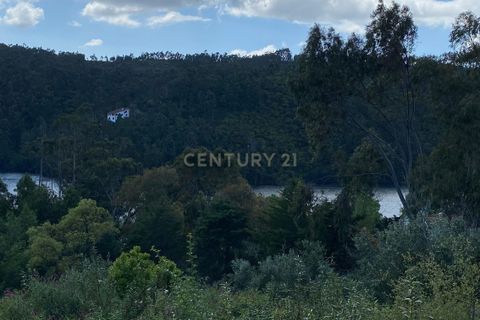 Helårsgrund i Serra, Santarem, Serra - € 8.000 | Ref: C0452-00460 - foto 8