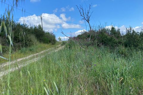 Helårsgrund i Serra, Santarem, Serra - € 8.000 | Ref: C0452-00460 - foto 9